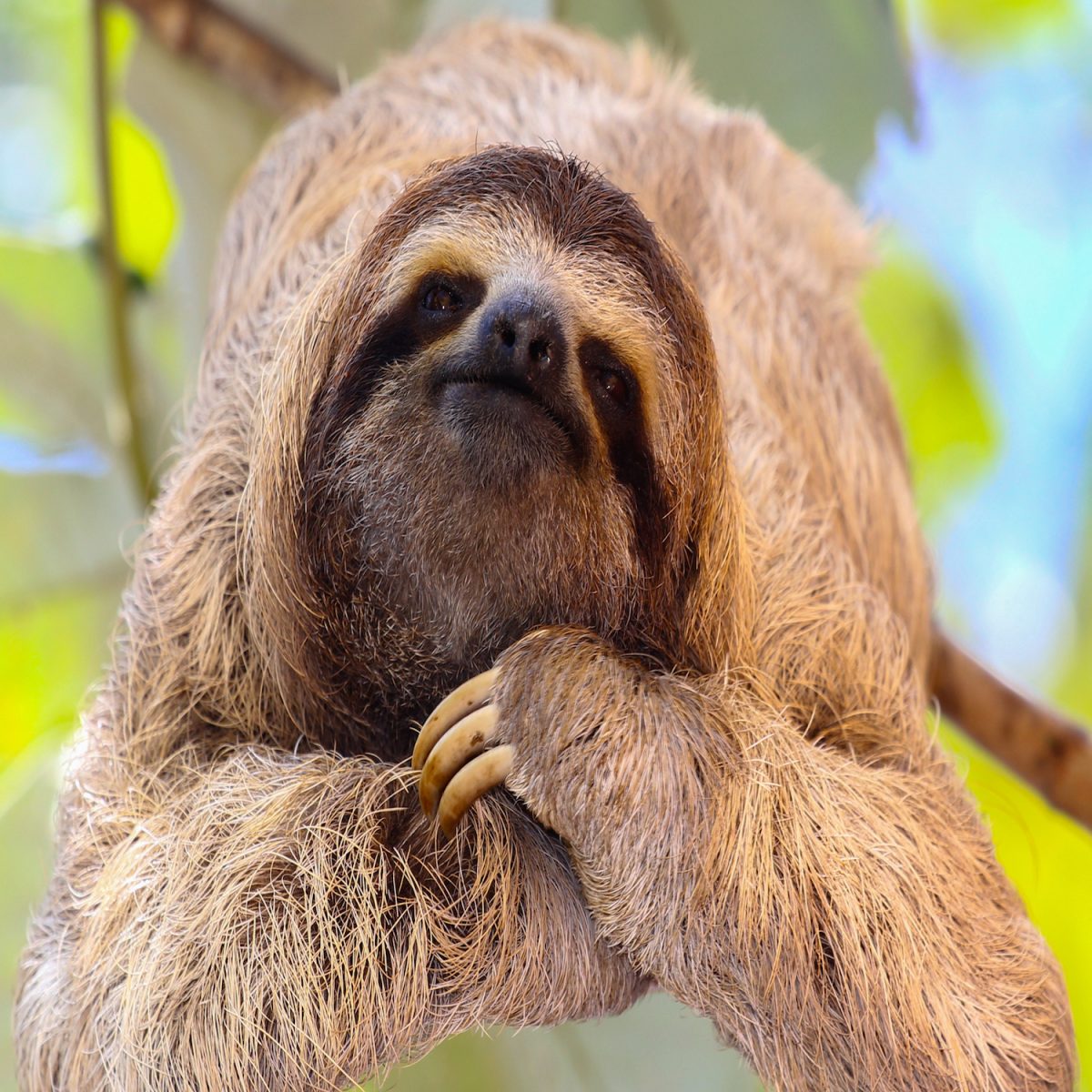 Digital Design Reinvented