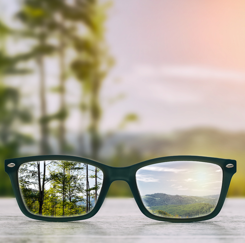 A Second Pair of Eyes