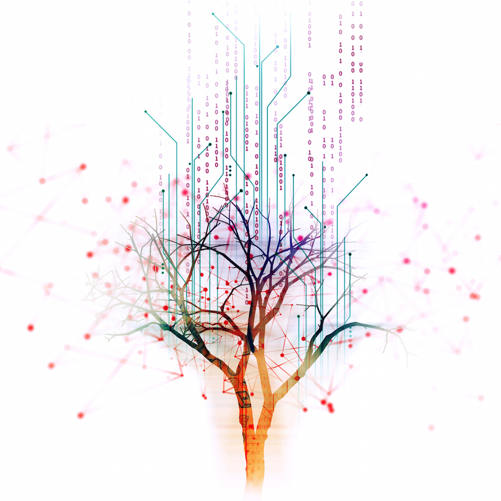 Climbing the PowerTree™