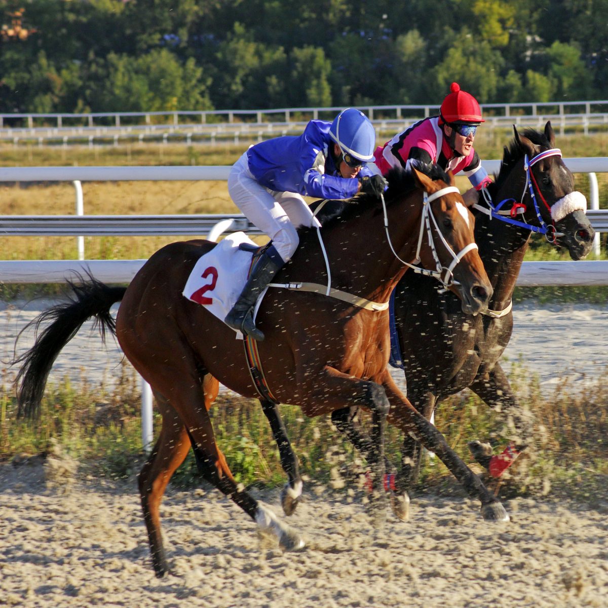 Xilinx Strikes Back – Kinda