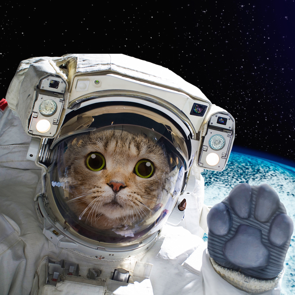 Global Navigation in One Tiny, Surface-Mountable Module