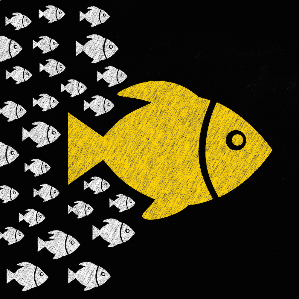 Message to CEOs: Stand Up for Your Company!