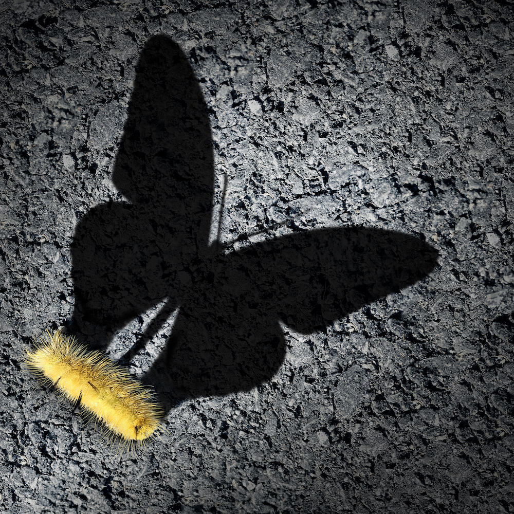 Survival of the Fittest