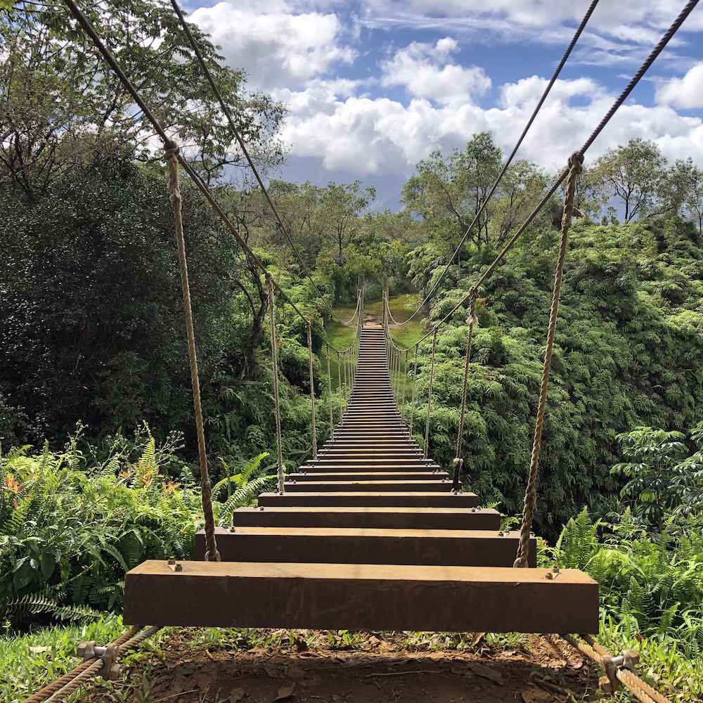 Silexica Bridges the HLS Gap