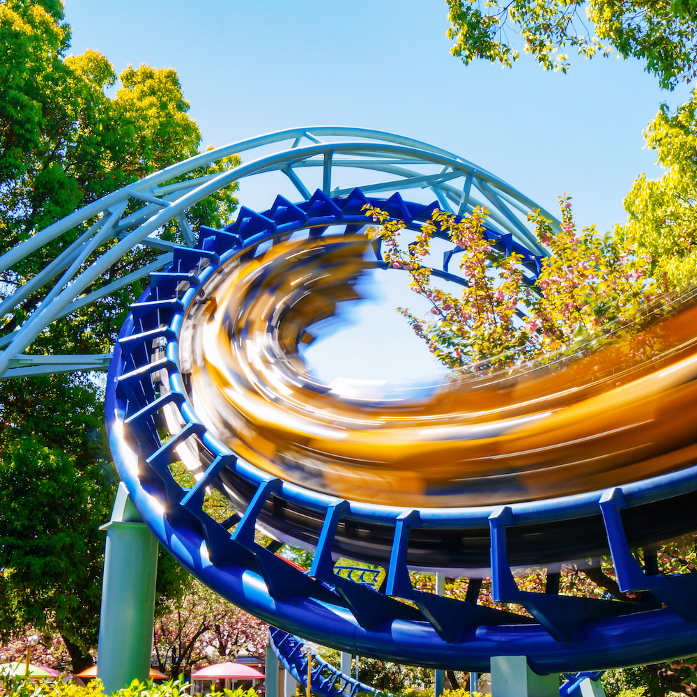 What Roller Coasters Can Teach Us About Economics