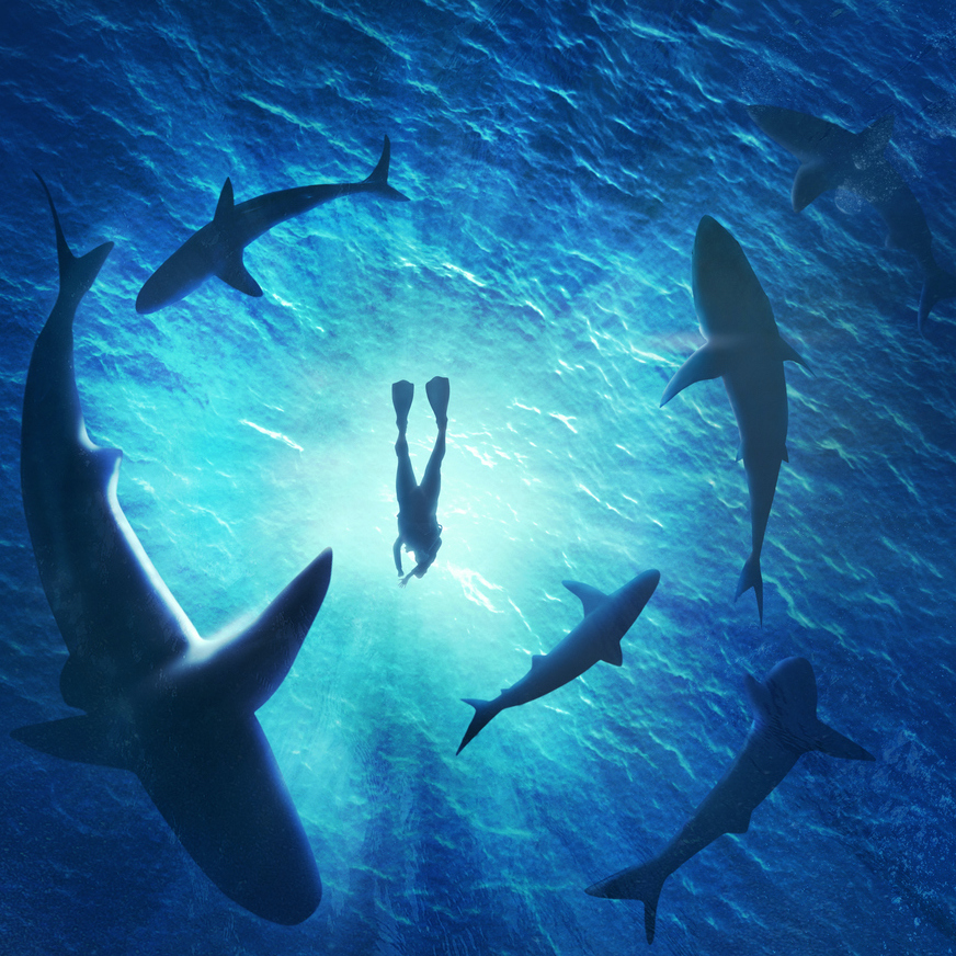 From the Fish Fry Vault: The Great Shark Cafe