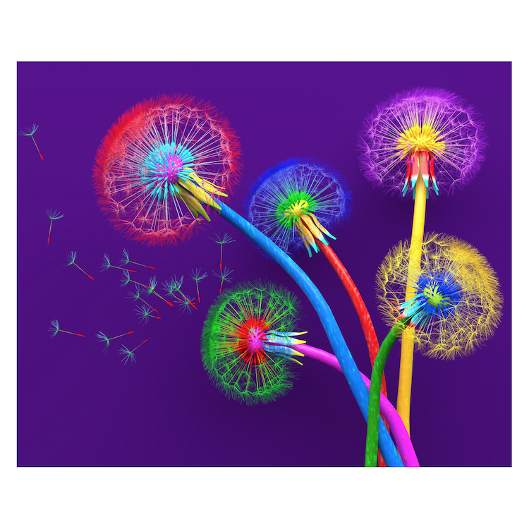 Fish Fry Special Edition: Makers Today! Lorraine Underwood