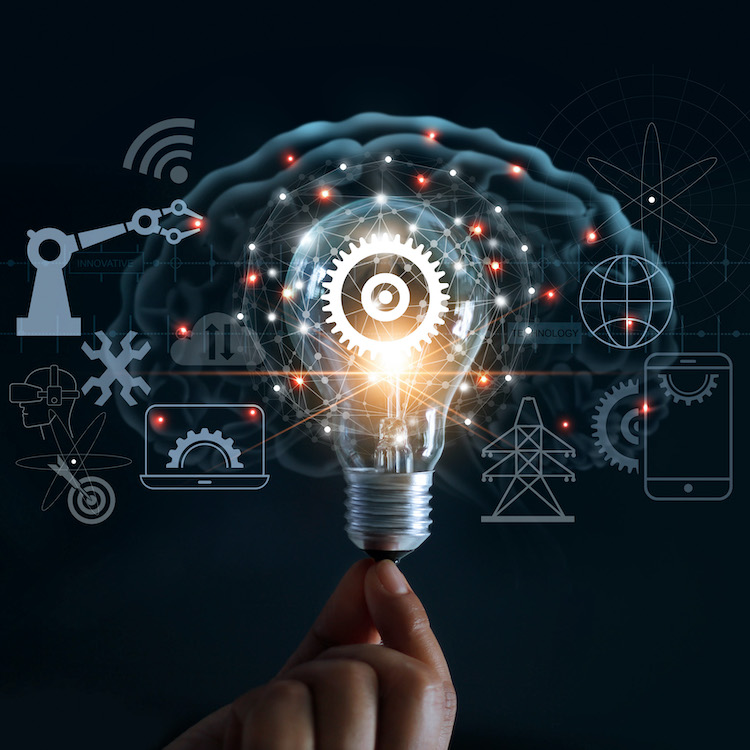 Fish Fry 500: Amelia’s Favorite Episodes (Now on YouTube!)