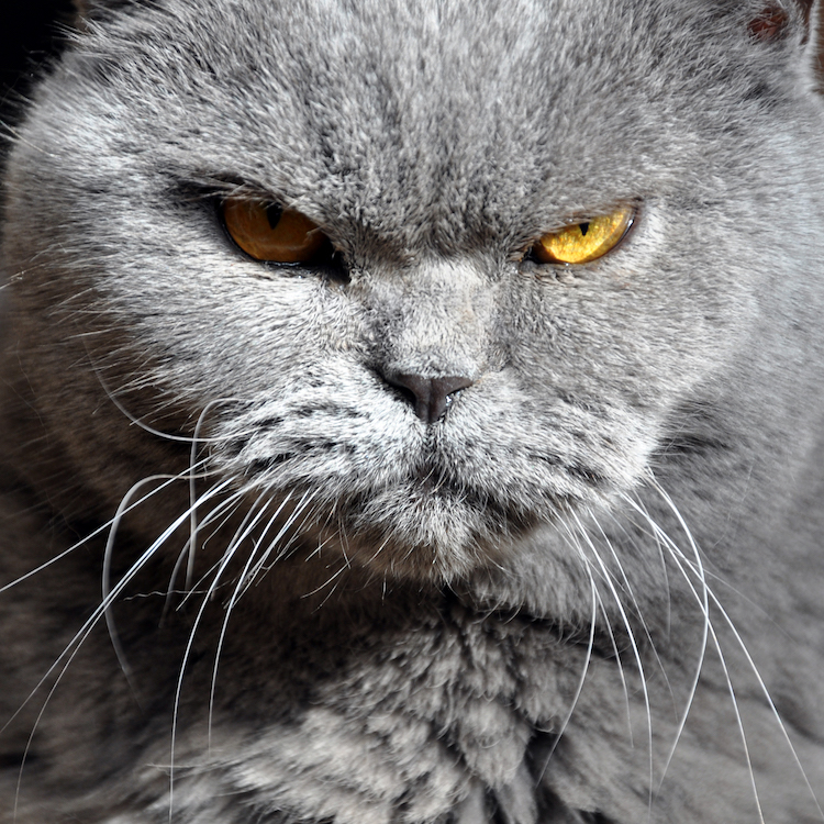 The Story of the Terrible, Horrible, No Good, Very Bad Printer