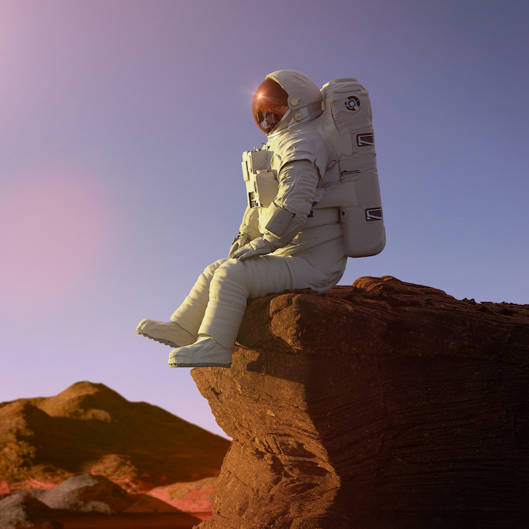 An FPGA Flies on Mars