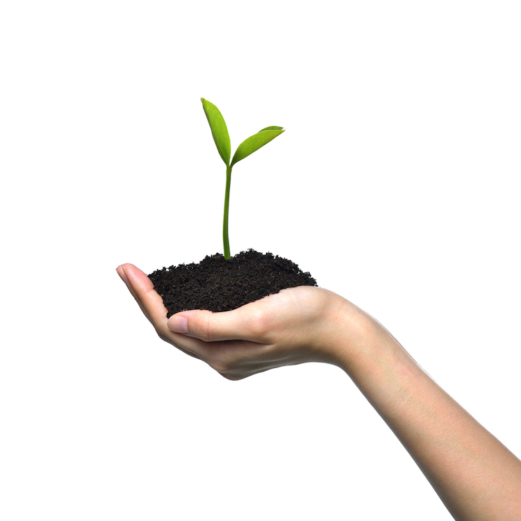 Sowing the Seeds of Change: How Sustainability and Extending Product Life Cycles Can Help Ease Our Supply Chain Woes