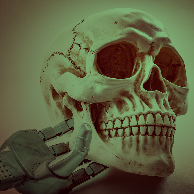 Robot’s Gambit: Watch Out, the Robots are Coming for Us