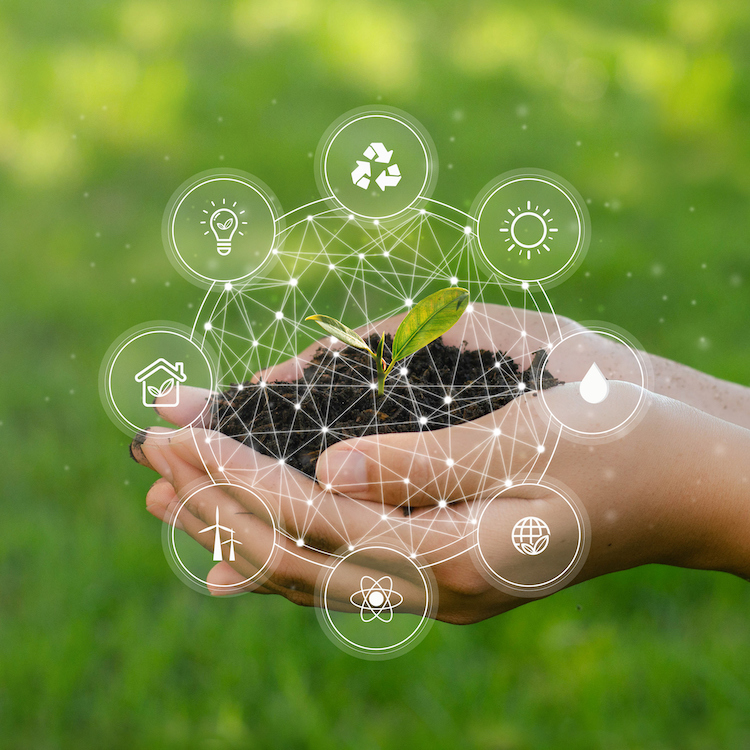 Sustainability and Positivity: Solving Real World Problems with NXP HoverGames