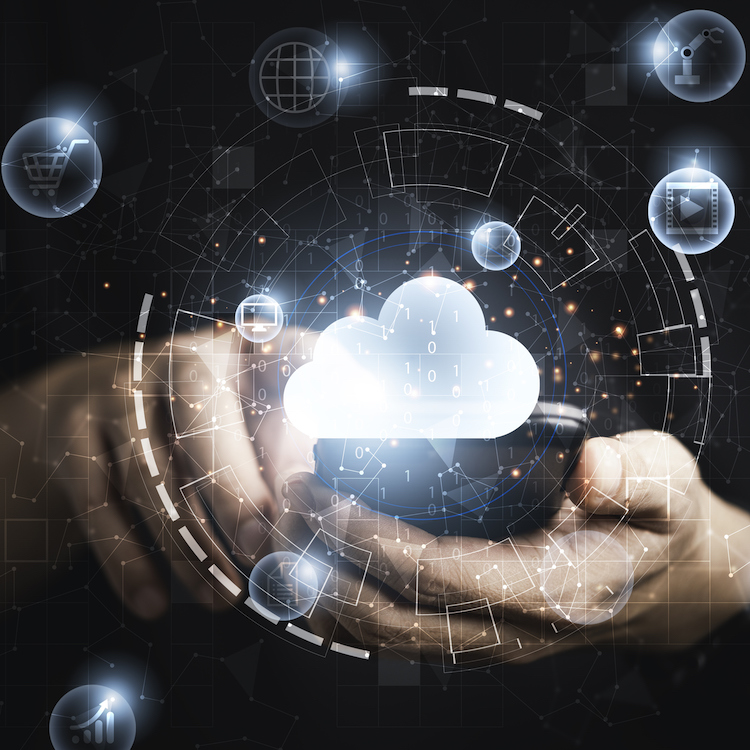 Software Defined Everything: Servitization, Sustainability and the Future of Smart Things