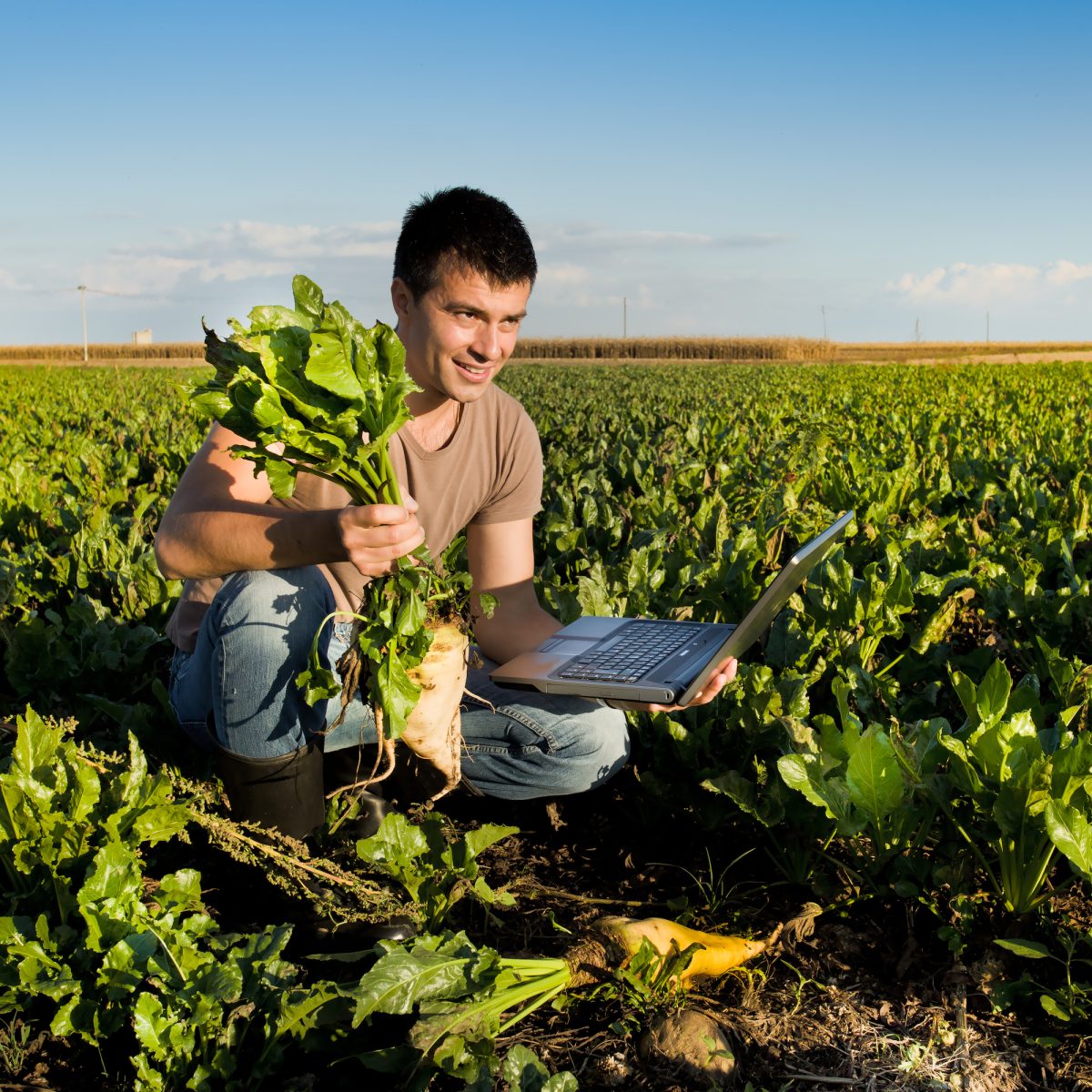 A Brief History of the MOS transistor, Part 7: HP Loveland, The Hermit Chipmaker