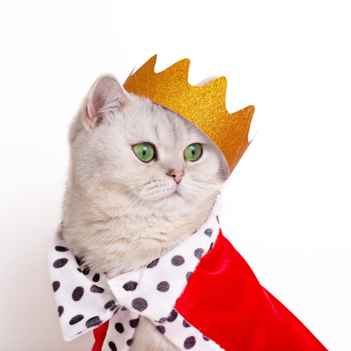 With 18.5 million logic cells, AMD’s Versal VP1902 Premium Adaptive SoC becomes “World’s Largest FPGA”