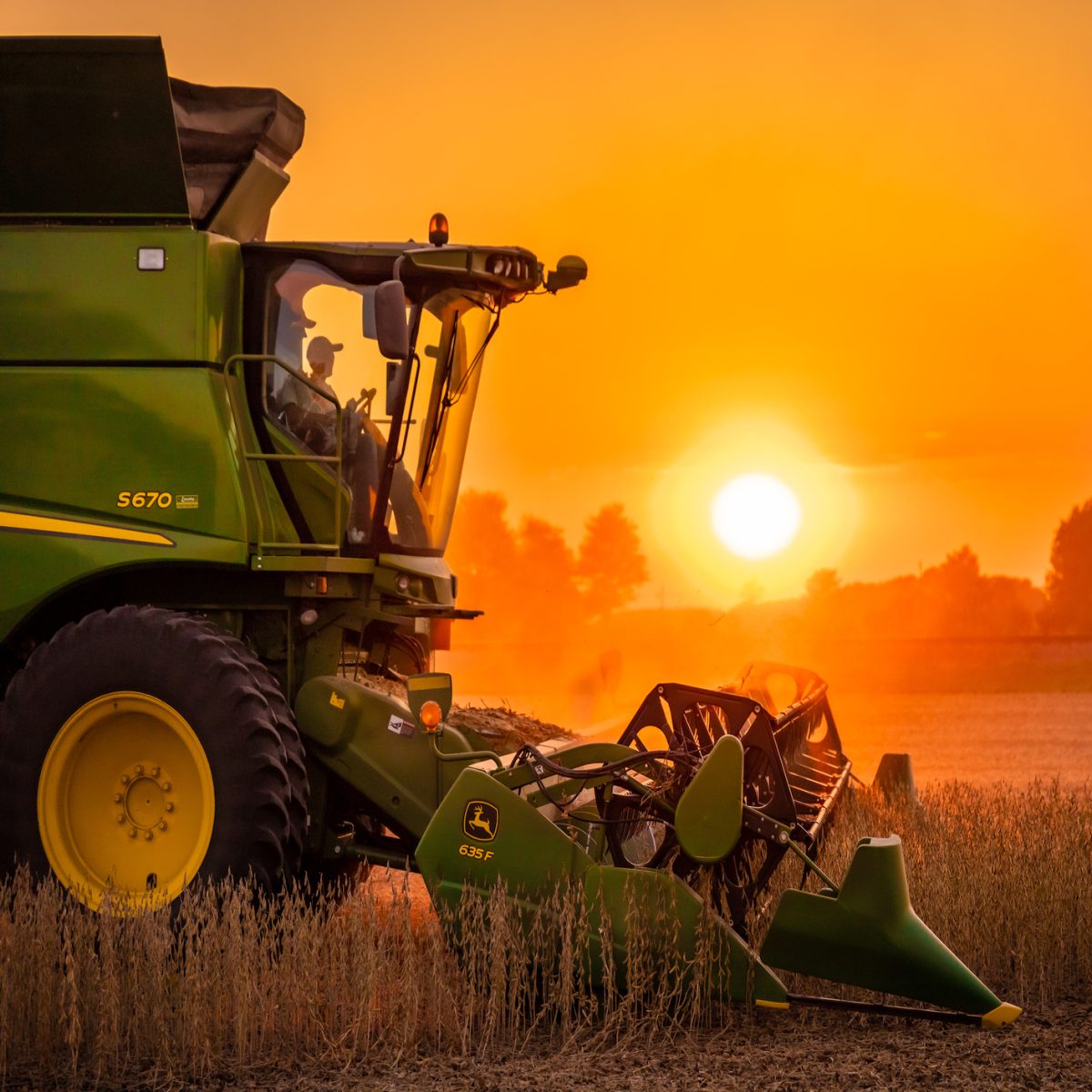 How Will We Feed 8 Billion People? With AI’s Help, of Course