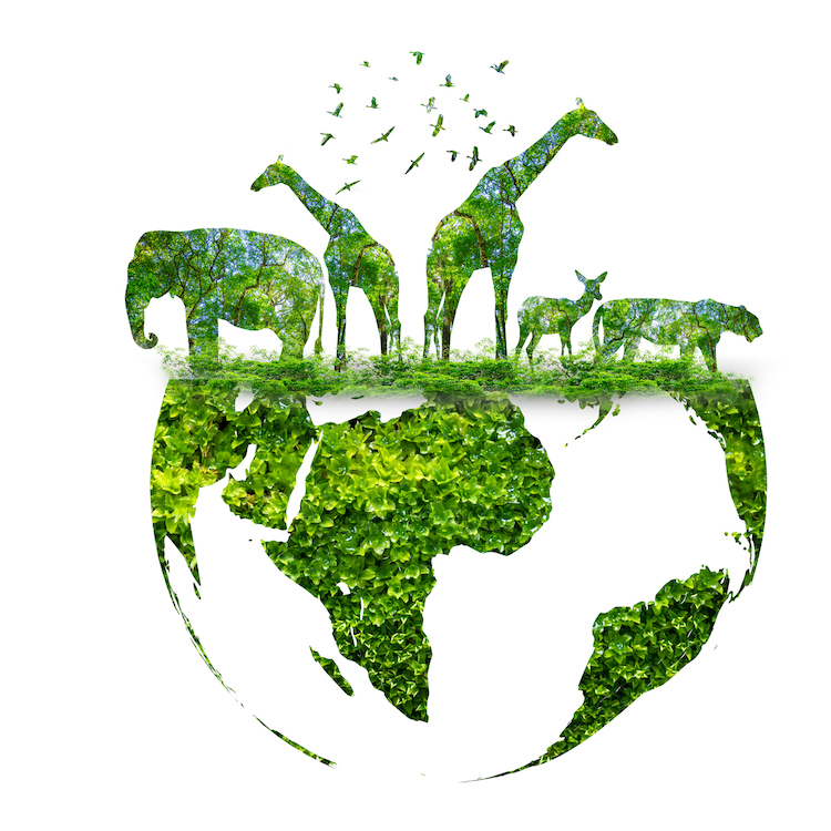 Lions, Tigers, and Jellyfish! Cutting-Edge Technologies for Wildlife Tracking