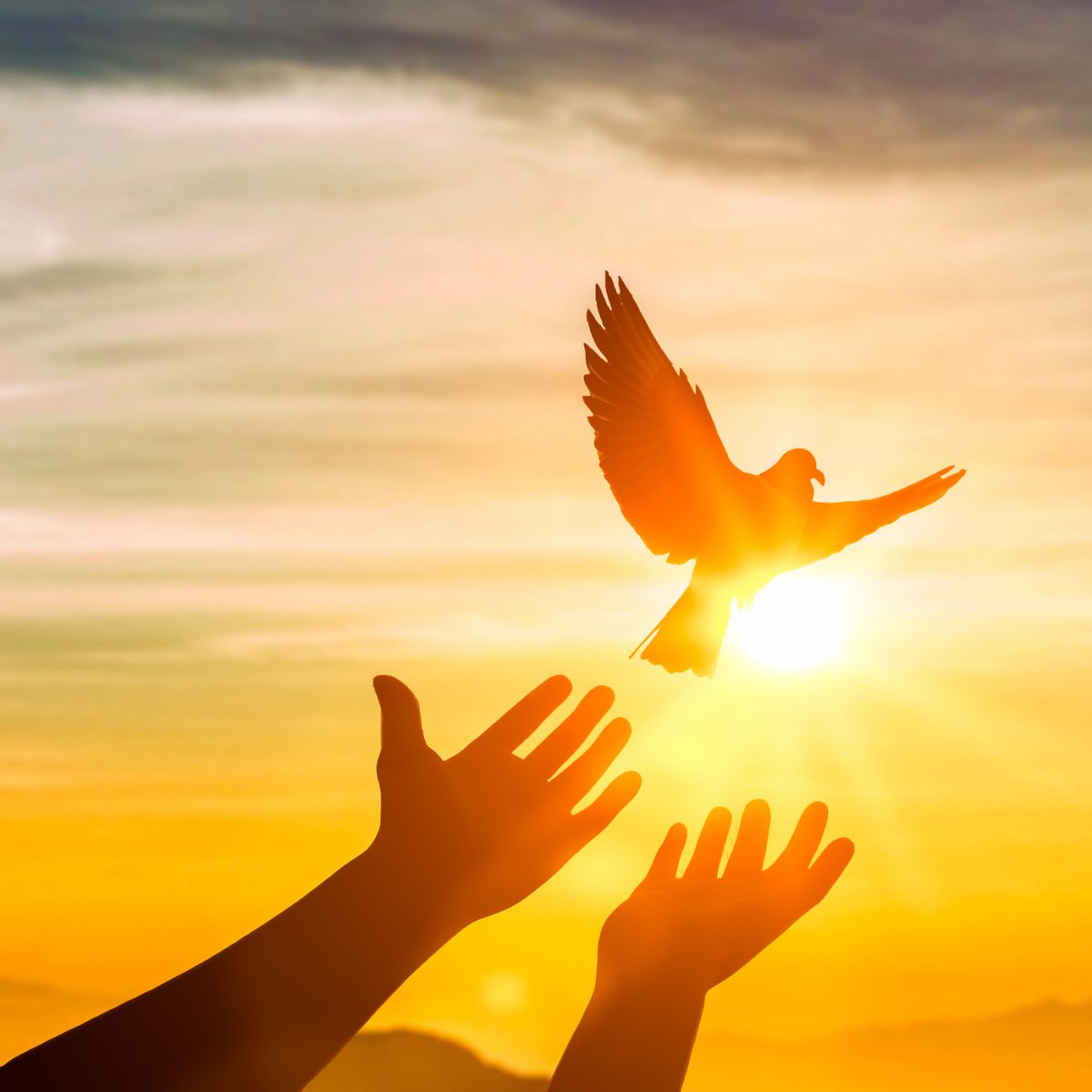 FPGA maker Intel PSG spins out of Intel and adopts old name: Altera