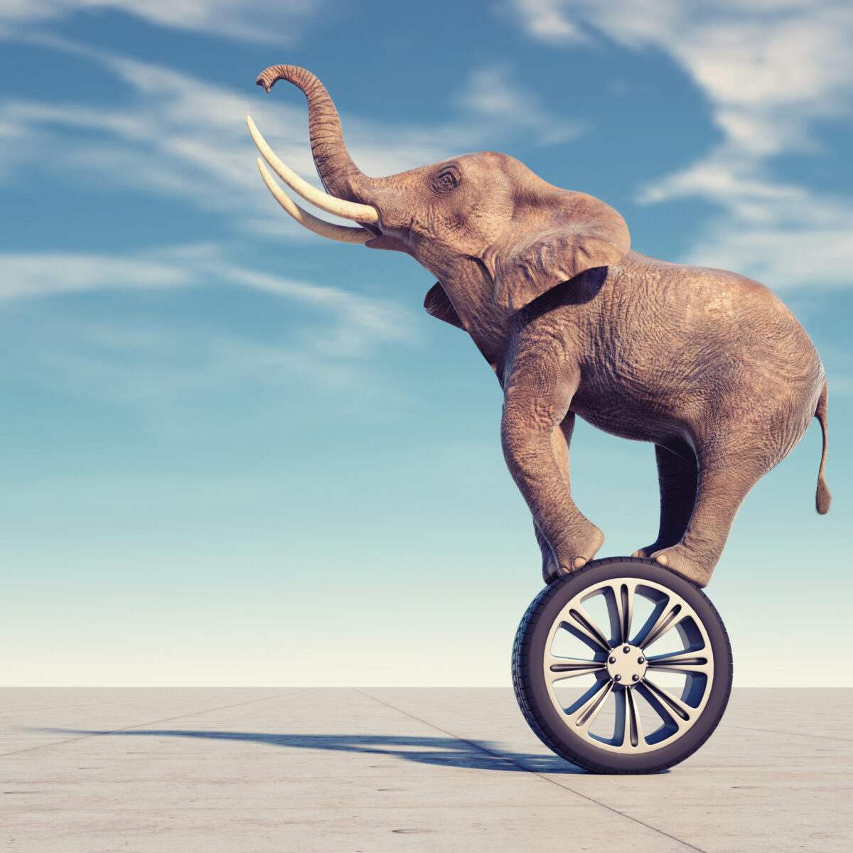 A CXL progress report: The elephant is learning to dance