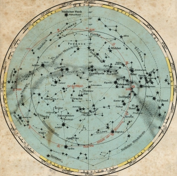 IP Mates, IP Stars and IP Trolls