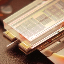 Honey, We No Longer Need to Shrink Raquel Welch