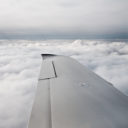 Managing Mental Myopia