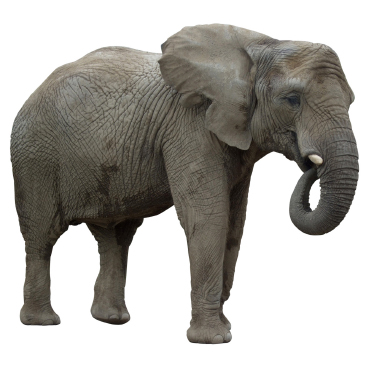 Intel Makes an Embedded Splash