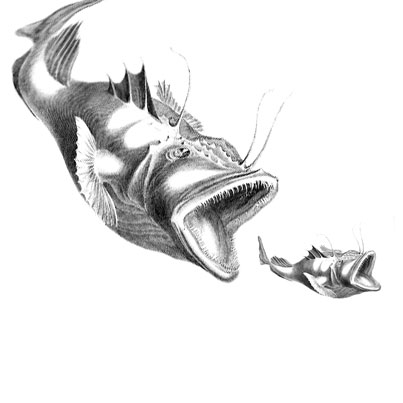 Rebuilding the Embedded Tools Landscape