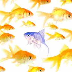 When Things Look Suspicious