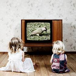 Viddy This, O My Brothers