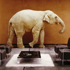 Elephant in the Room