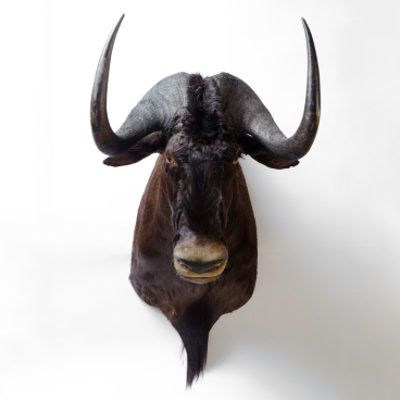 (un)Rolling with the Times