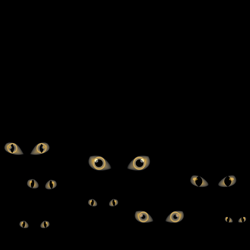 Who’s the Competition Now?