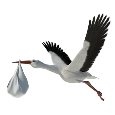 To Microsemi and Actel – an SoC