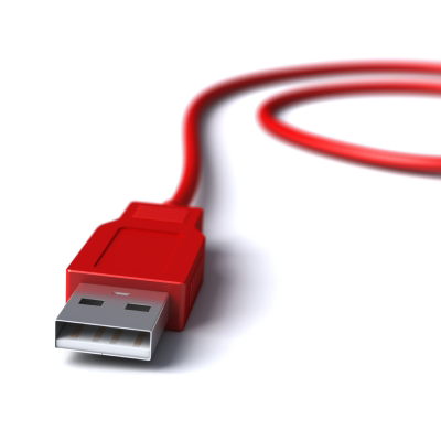 The Whole Wide World