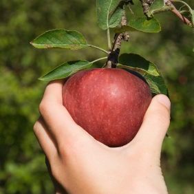 The Shoe Finally Drops