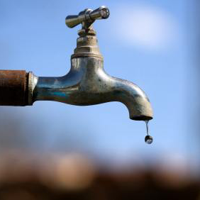 Novel Nutrient Delivery