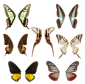 Ensuring Design Reliability with Design Patterns