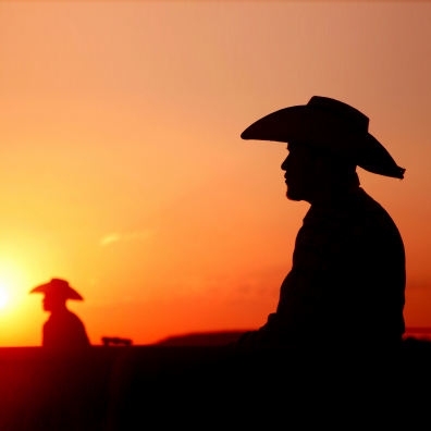 It’s Raining MCUs Over Texas