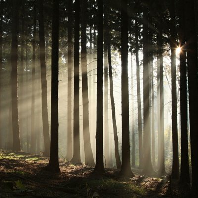 Verifying Your Awesomeness