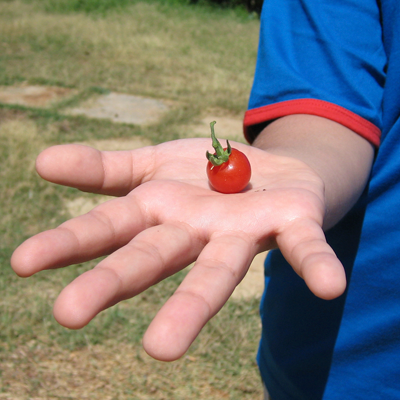 Undo Your Mistakes at the Customer’s Site