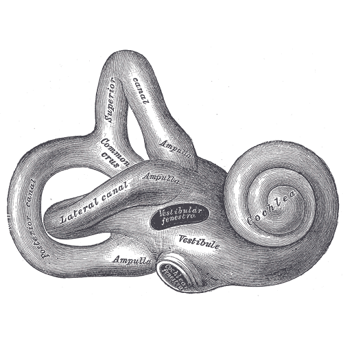 A Low-Power Gyro – For Real