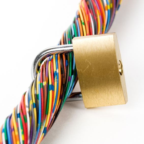 Teaching a Doll to Swear and Other Stories