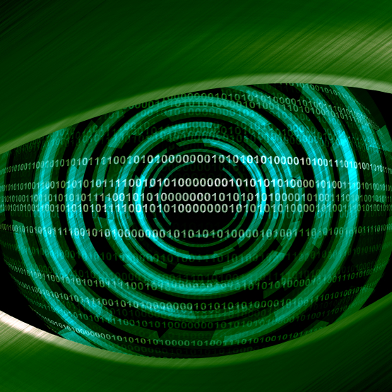 The Internet of Seeing Things