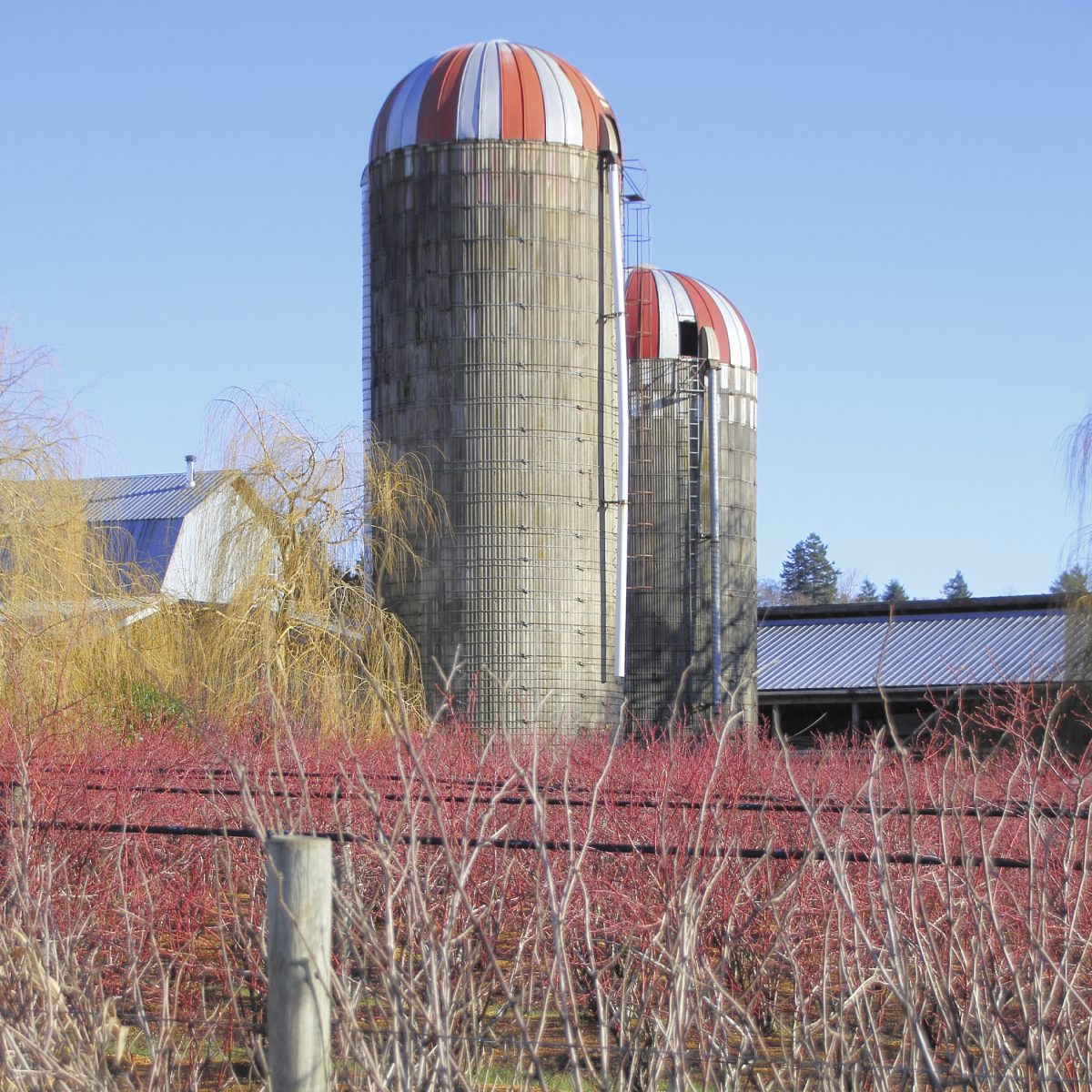 A Unified Chip/Package/Board Flow