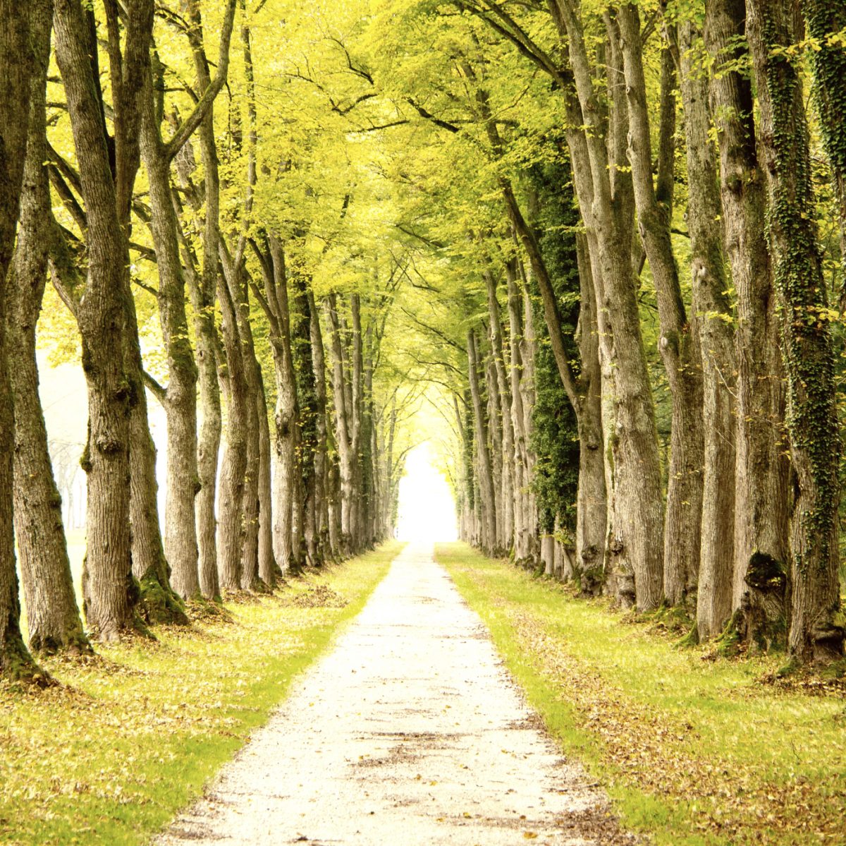 The Tao of P-Channel MOSFETs