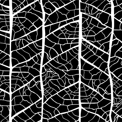 A New Neural Approach