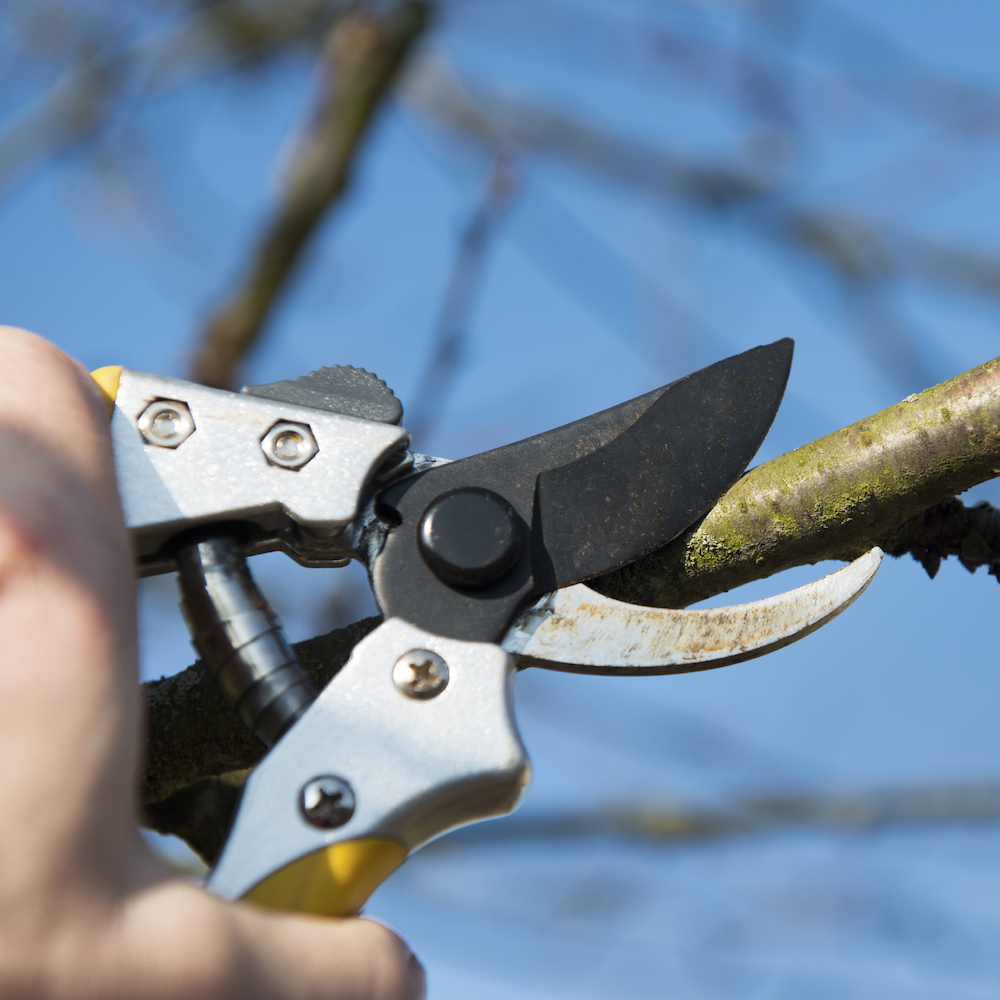 Atom, We Hardly Knew Ye