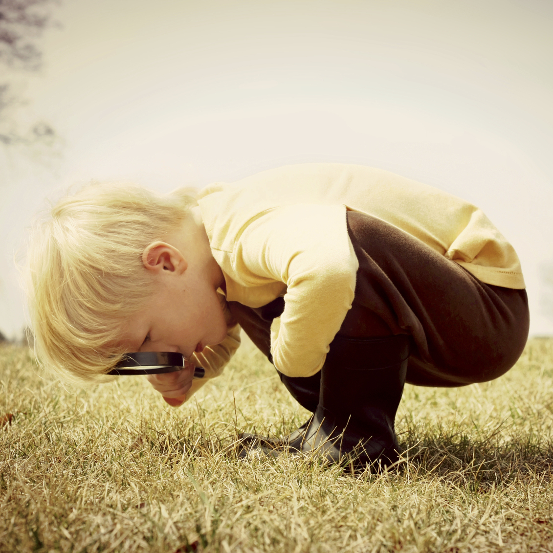 Analog Circuit and Model Exploration